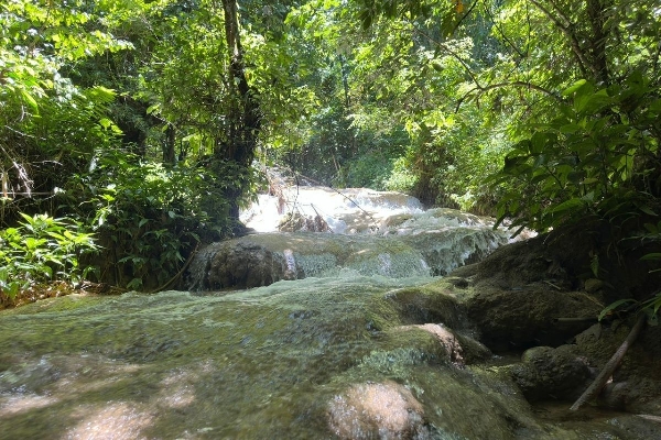 11 Days / 10 Nights -Sapa TuLe  MuCangChai MocChau PuLuong - photo 44